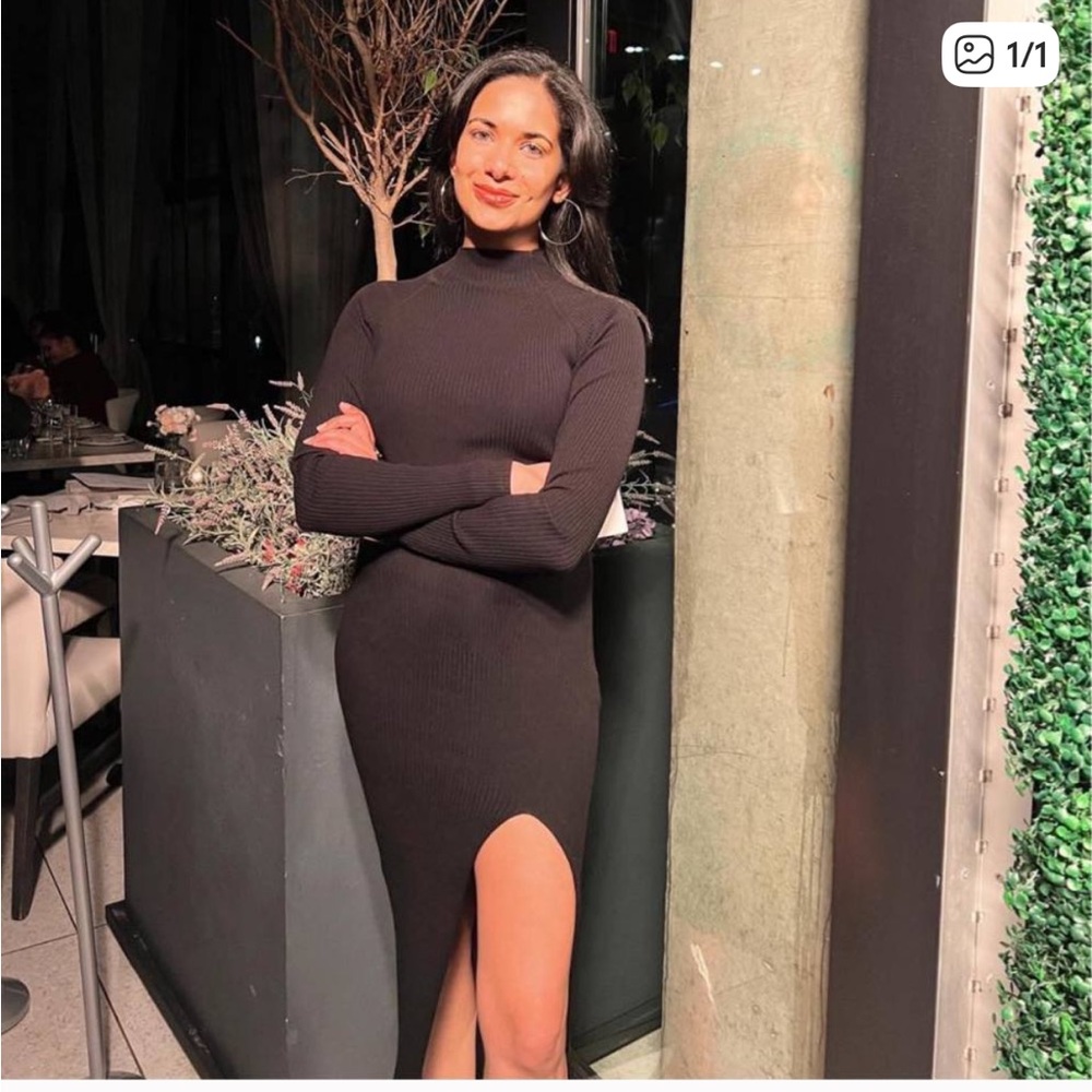 Aritzia Elegant Black Long Sleeve Dress
